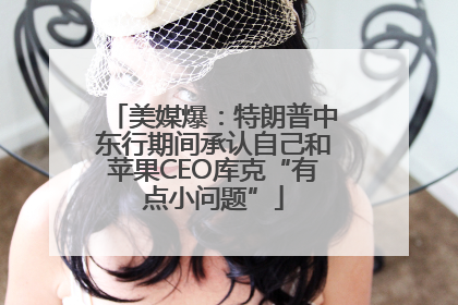 美媒爆：特朗普中东行期间承认自己和苹果CEO库克“有点小问题”