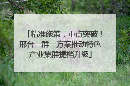 精准施策，重点突破！邢台一群一方案推动特色产业集群提档升级