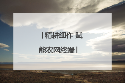 精耕细作 赋能农网终端