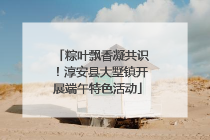 粽叶飘香凝共识！淳安县大墅镇开展端午特色活动