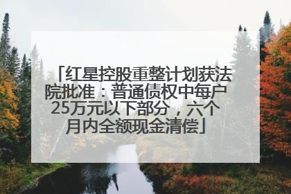 红星控股重整计划获法院批准：普通债权中每户25万元以下部分，六个月内全额现金清偿