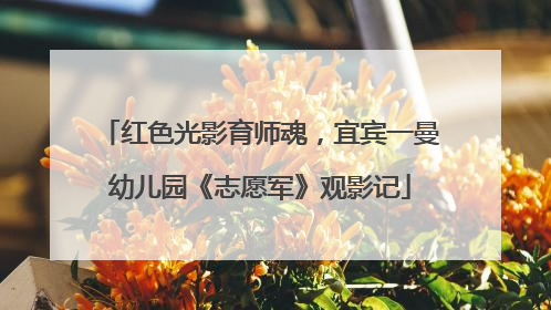 红色光影育师魂，宜宾一曼幼儿园《志愿军》观影记