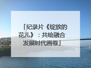 纪录片《绽放的花儿》：共绘融合发展时代画卷