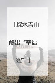 绿水青山酿出“幸福蜜”