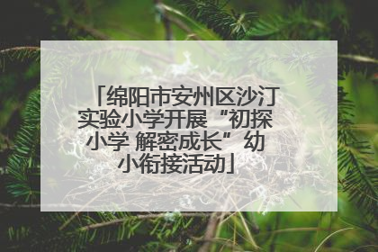 绵阳市安州区沙汀实验小学开展“初探小学 解密成长”幼小衔接活动