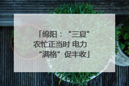 绵阳：“三夏”农忙正当时 电力“满格”促丰收