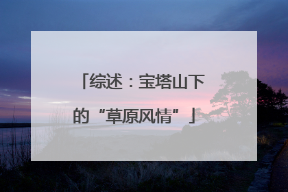 综述：宝塔山下的“草原风情”