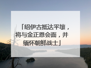 绍伊古抵达平壤，将与金正恩会面，并缅怀朝鲜战士