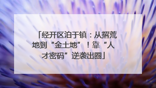 经开区泊于镇：从撂荒地到“金土地”！靠“人才密码”逆袭出圈