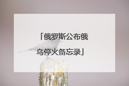俄罗斯公布俄乌停火备忘录
