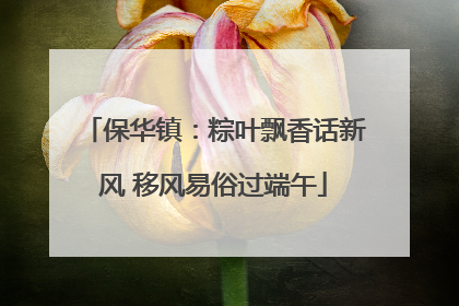保华镇：粽叶飘香话新风 移风易俗过端午