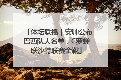 体坛联播｜安帅公布巴西队大名单，C罗蝉联沙特联赛金靴