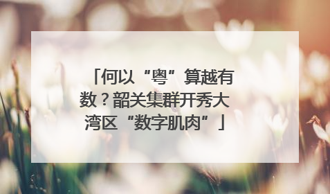 何以“粤”算越有数？韶关集群开秀大湾区“数字肌肉”
