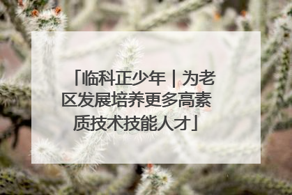 临科正少年｜为老区发展培养更多高素质技术技能人才