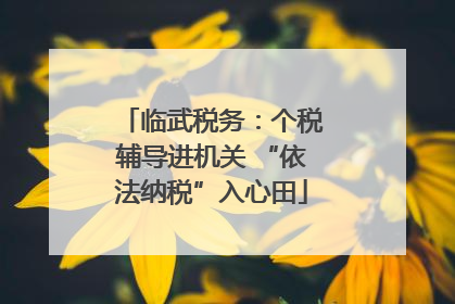 临武税务：个税辅导进机关 “依法纳税”入心田