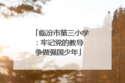 临汾市第三小学：牢记党的教导 争做强国少年