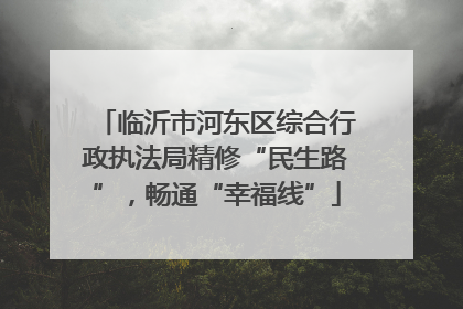 临沂市河东区综合行政执法局精修“民生路”，畅通“幸福线”
