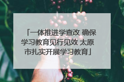 一体推进学查改 确保学习教育见行见效 太原市扎实开展学习教育