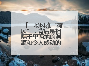 一场风雅“荷展”，背后是相隔千里两地的渊源和令人感动的历史人文情怀