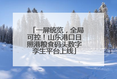 一屏统览，全局可控！山东港口日照港粮食码头数字孪生平台上线