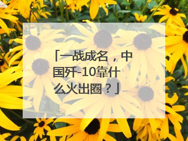 一战成名，中国歼-10靠什么火出圈？