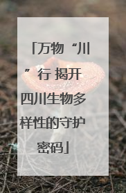 万物“川”行 揭开四川生物多样性的守护密码