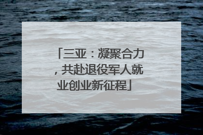 三亚：凝聚合力，共赴退役军人就业创业新征程