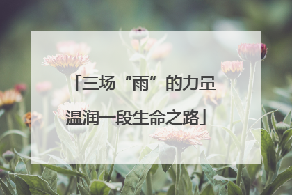 三场“雨”的力量温润一段生命之路