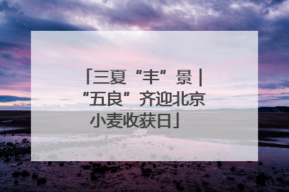 三夏“丰”景｜“五良”齐迎北京小麦收获日