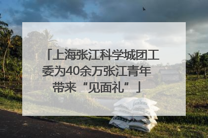 上海张江科学城团工委为40余万张江青年带来“见面礼”