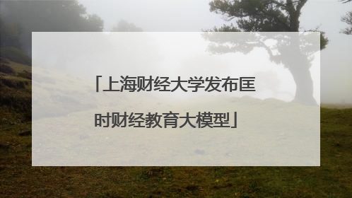 上海财经大学发布匡时财经教育大模型
