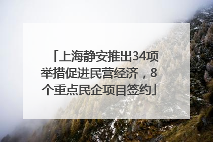 上海静安推出34项举措促进民营经济，8个重点民企项目签约
