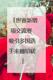 世赛新增项交流赛 吸引多国选手来穗切磋