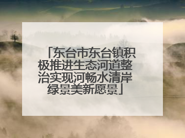 东台市东台镇积极推进生态河道整治实现河畅水清岸绿景美新愿景
