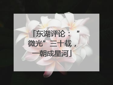 东湖评论：“微光”三十载，一朝成星河