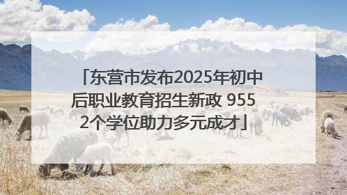 东营市发布2025年初中后职业教育招生新政 9552个学位助力多元成才