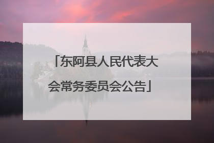 东阿县人民代表大会常务委员会公告