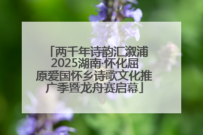 两千年诗韵汇溆浦 2025湖南·怀化屈原爱国怀乡诗歌文化推广季暨龙舟赛启幕