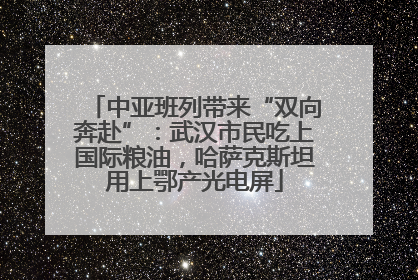 中亚班列带来“双向奔赴”：武汉市民吃上国际粮油，哈萨克斯坦用上鄂产光电屏