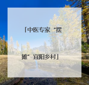 中医专家“摆摊”宜阳乡村