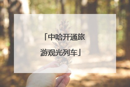 中哈开通旅游观光列车