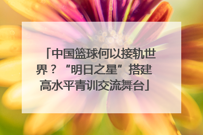 中国篮球何以接轨世界？“明日之星”搭建高水平青训交流舞台