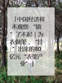中国经济样本观察·“镇”了不起｜为衣做架，“挂”出来的80亿元“衣架产业”