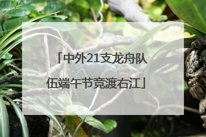 中外21支龙舟队伍端午节竞渡右江