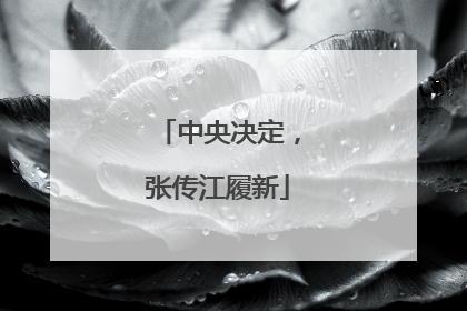 中央决定，张传江履新