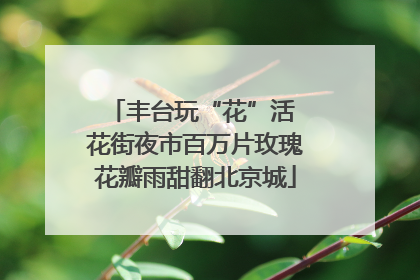 丰台玩“花”活 花街夜市百万片玫瑰花瓣雨甜翻北京城