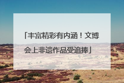 丰富精彩有内涵！文博会上非遗作品受追捧