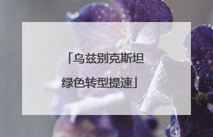 乌兹别克斯坦绿色转型提速