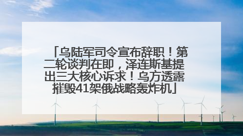 乌陆军司令宣布辞职！第二轮谈判在即，泽连斯基提出三大核心诉求！乌方透露摧毁41架俄战略轰炸机