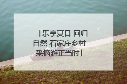 乐享夏日 回归自然 石家庄乡村采摘游正当时